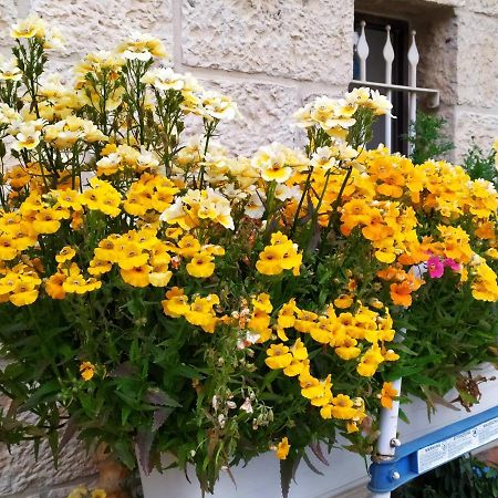 Cozy Garden Apartment Jerusalem Ngoại thất bức ảnh